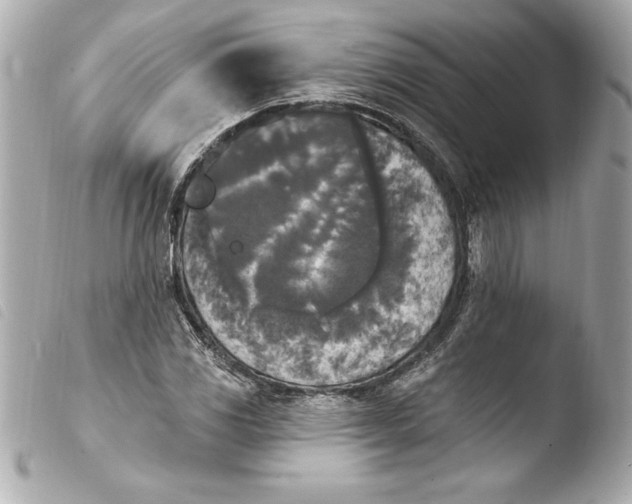 X0000103951117200810031339