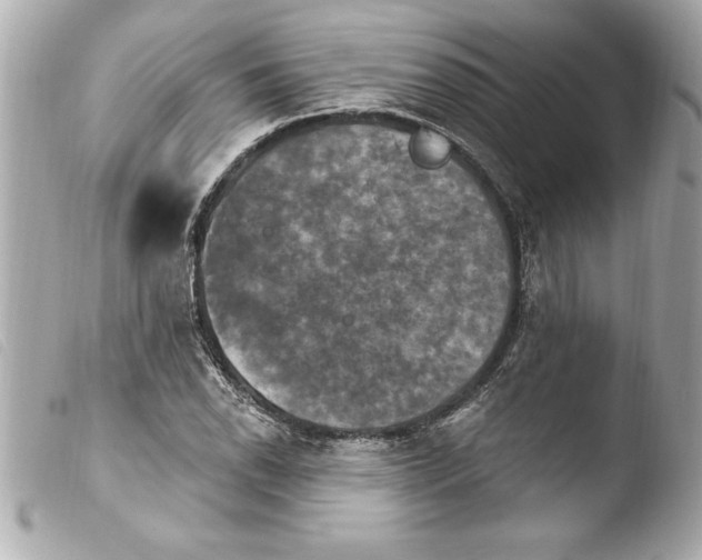 X0000103951118200810031339