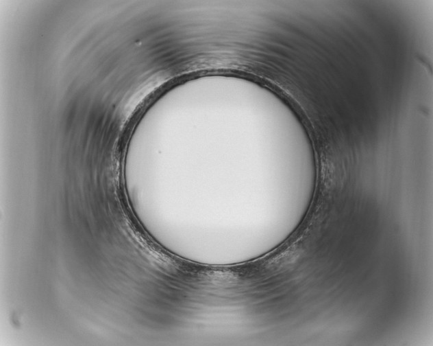 X0000103951119200810031339