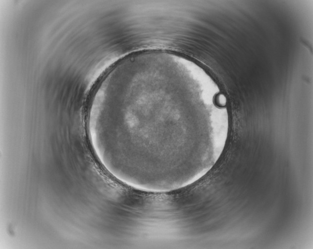 X0000103951120200810031339