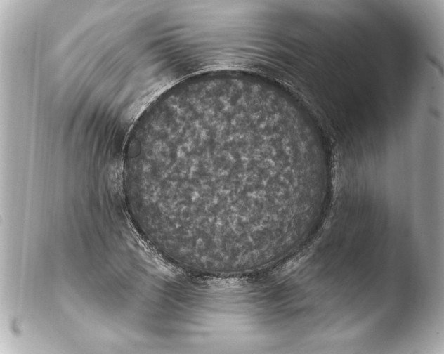 X0000103951121200810031339