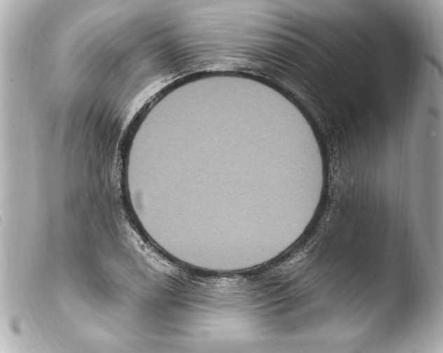 X0000103951122200810031339