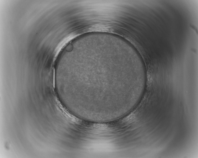 X0000103951123200810031339