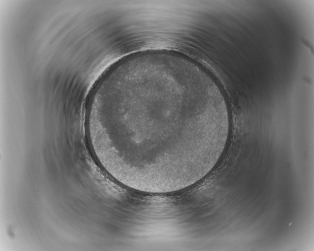 X0000103951124200810031339