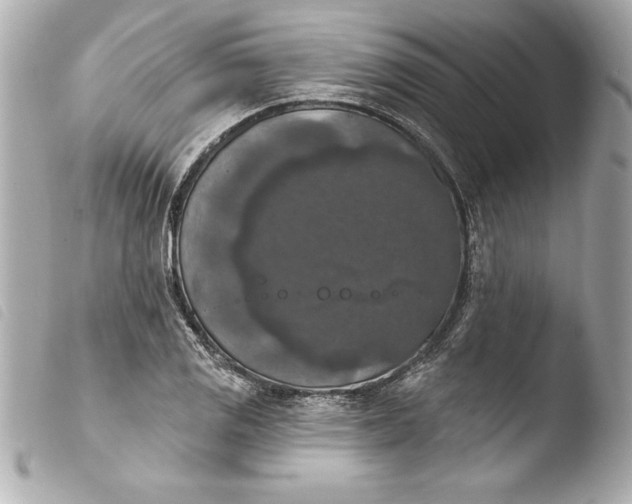 X0000103951125200810031339