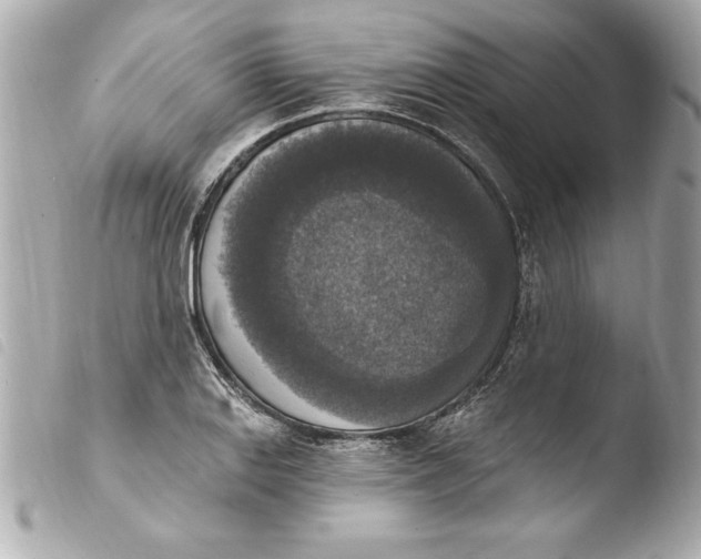 X0000103951127200810031339