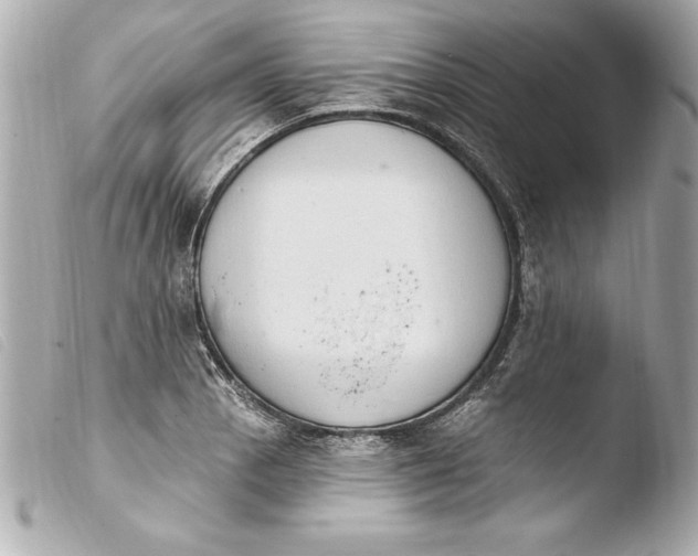 X0000103951129200810031339