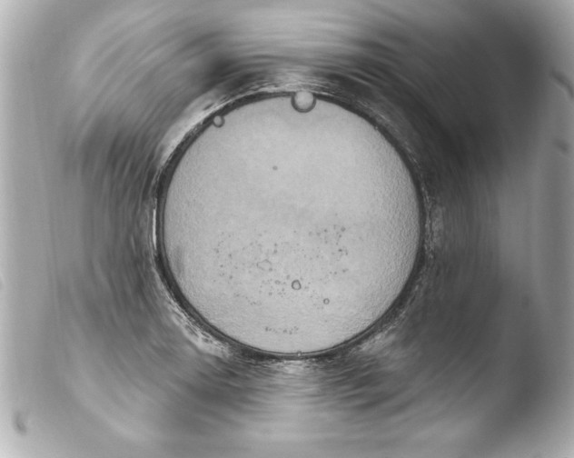 X0000103951130200810031339