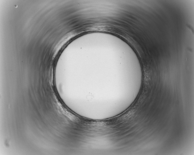 X0000103951131200810031339