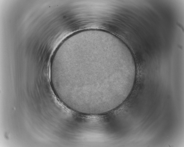 X0000103951132200810031339