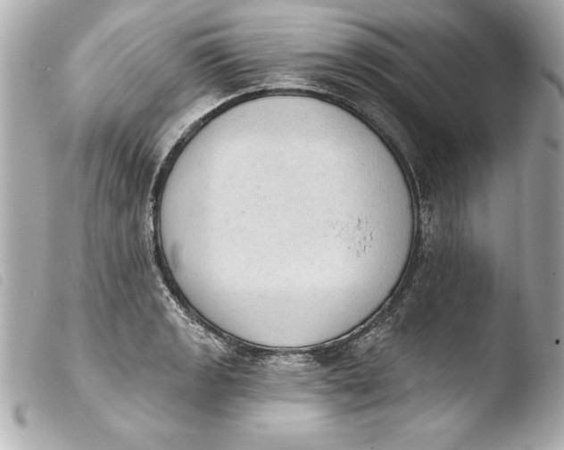 X0000103951133200810031339