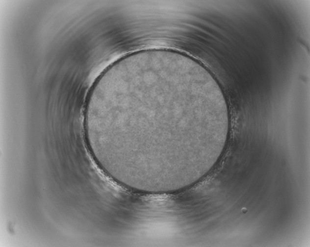 X0000103951134200810031339