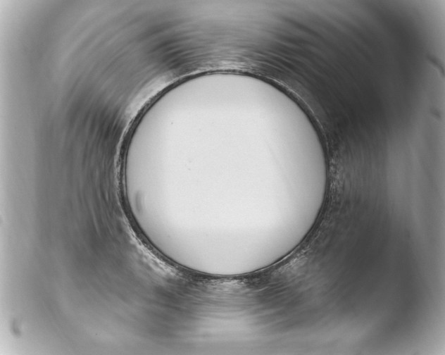 X0000103951135200810031339