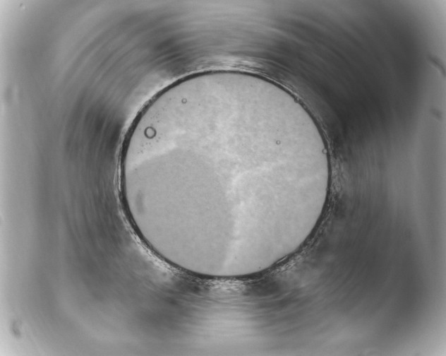 X0000103951136200810031339