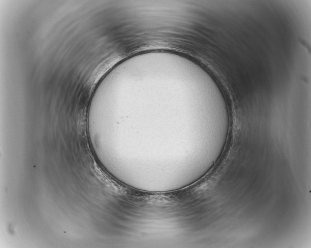 X0000103951137200810031339