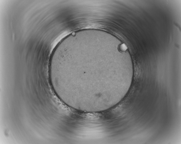 X0000103951138200810031339