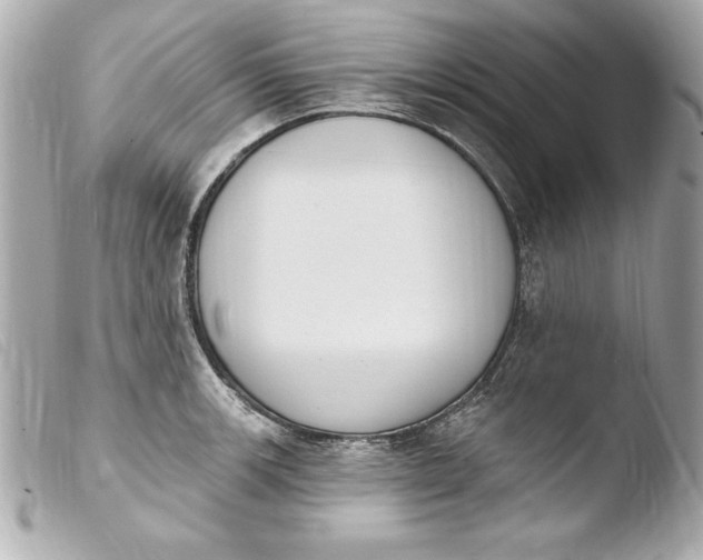 X0000103951139200810031339