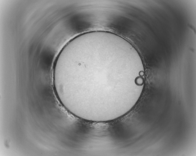 X0000103951140200810031339