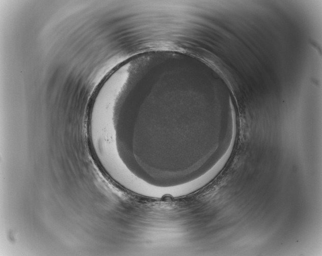 X0000103951141200810031339