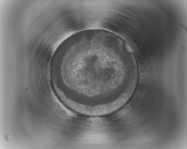 X0000103951142200810031339