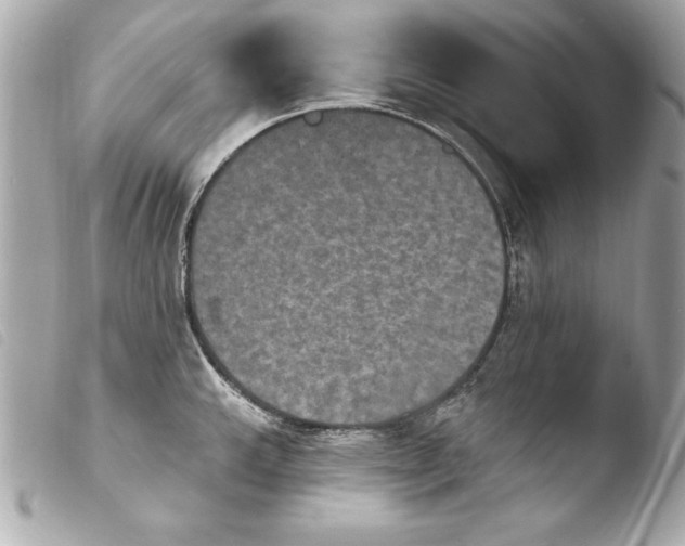 X0000103951143200810031339