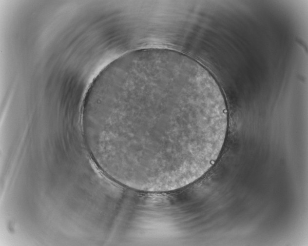 X0000103951144200810031339