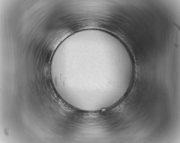 X0000103951145200810031339