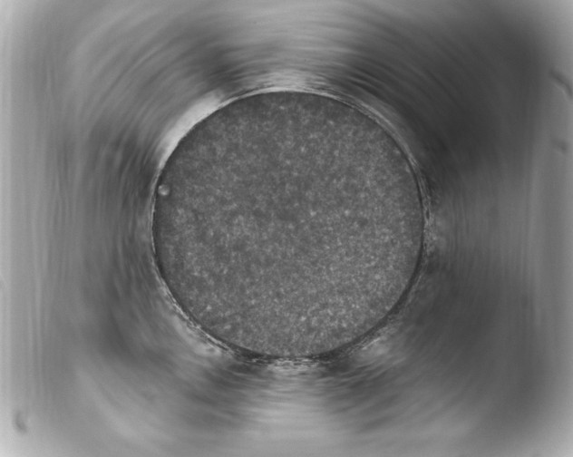 X0000103951146200810031339