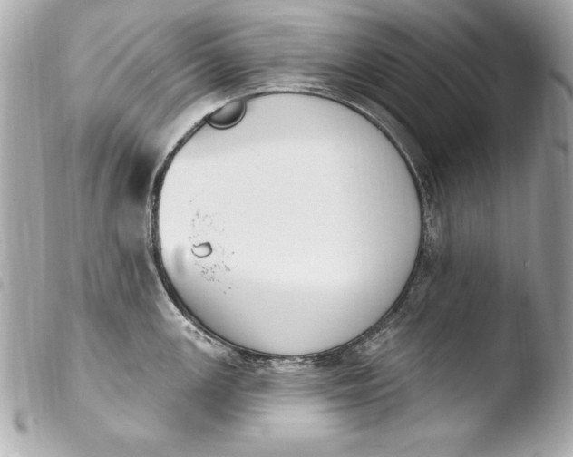 X0000103951147200810031339