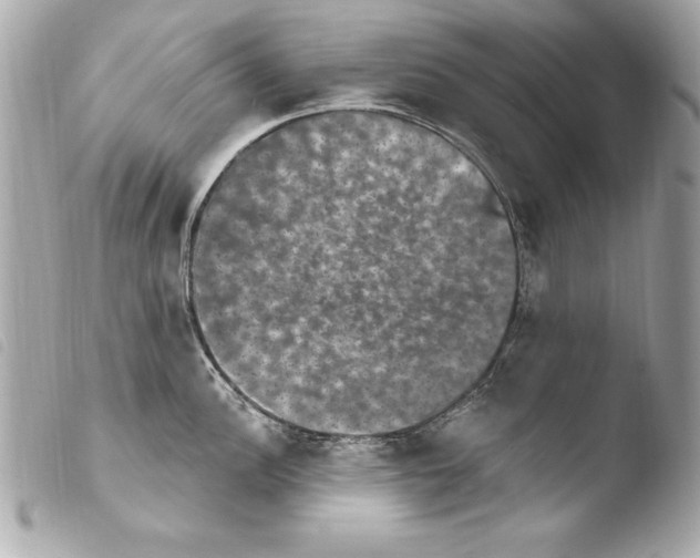 X0000103951148200810031339