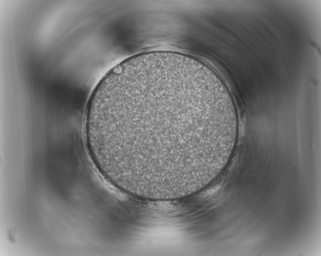 X0000103951149200810031339