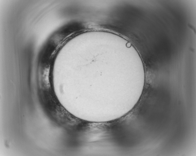 X0000103951150200810031339