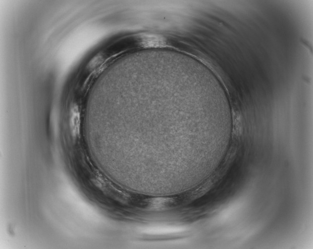 X0000103951151200810031339