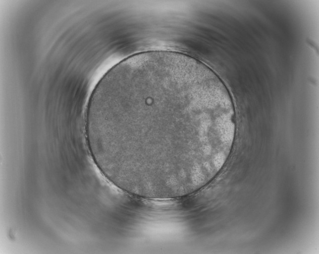 X0000103951152200810031339