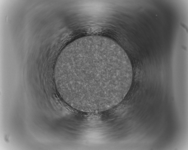 X0000103951153200810031339