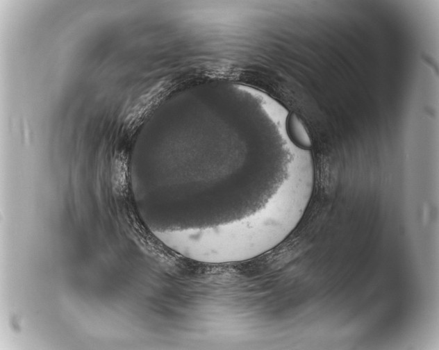 X0000103951154200810031339