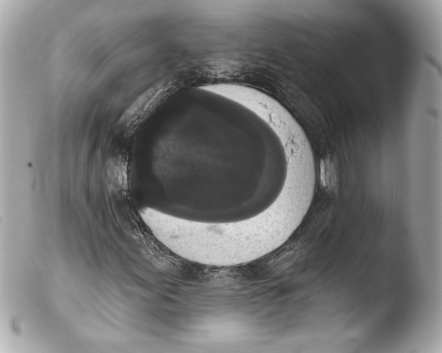 X0000103951155200810031339