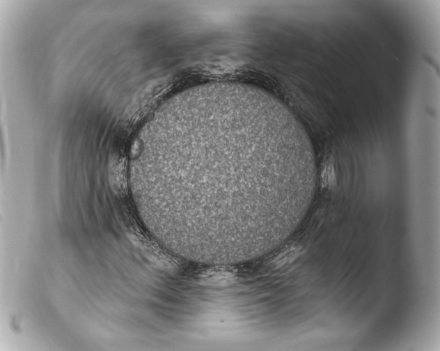 X0000103951156200810031339