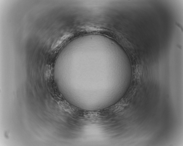 X0000103951157200810031339