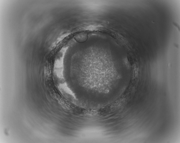 X0000103951158200810031339