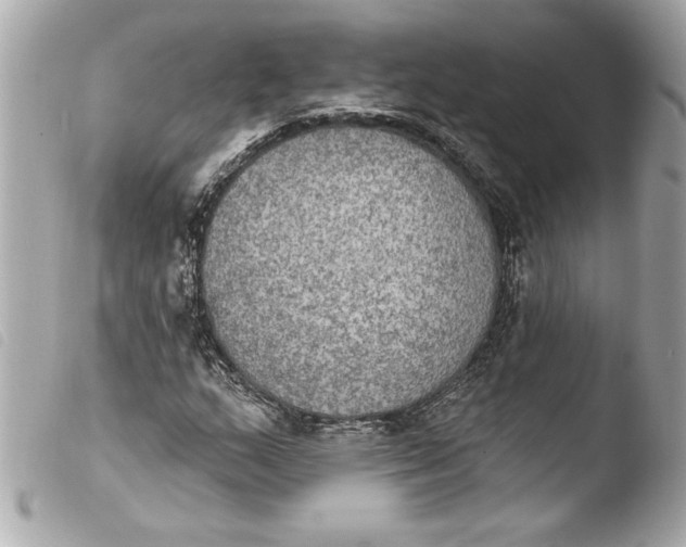 X0000103951159200810031339