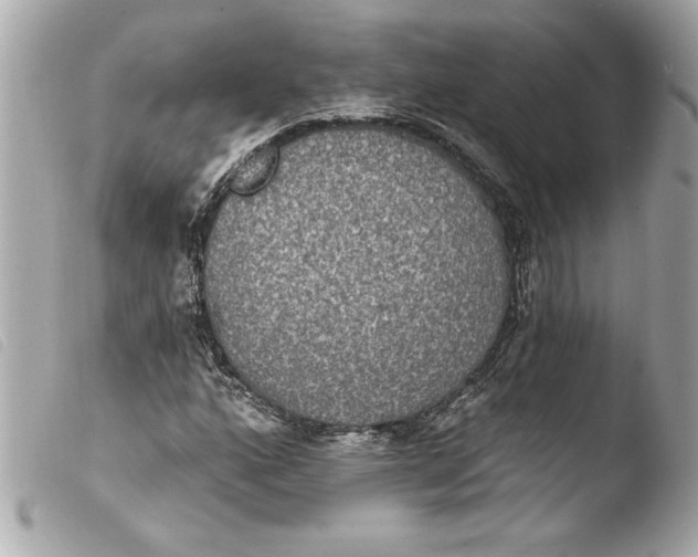 X0000103951160200810031339