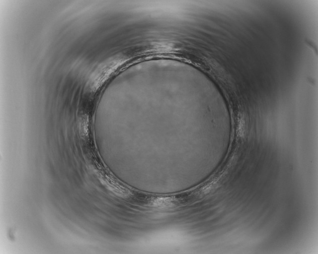 X0000103951161200810031339