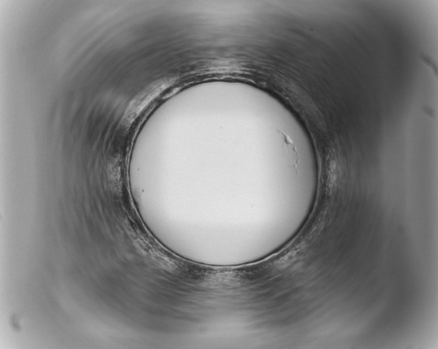 X0000103951162200810031339