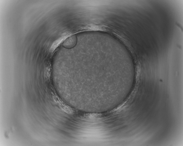 X0000103951163200810031339