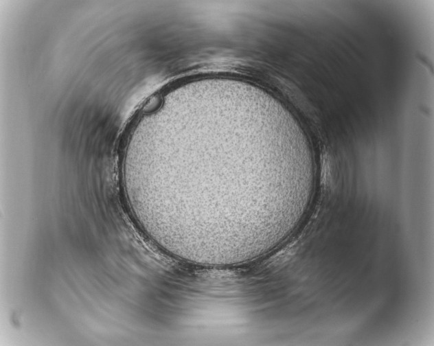 X0000103951164200810031339