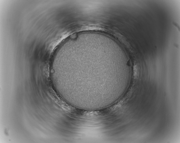 X0000103951165200810031339