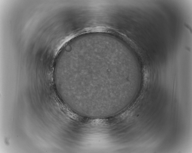 X0000103951166200810031339