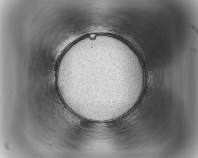 X0000103951167200810031339