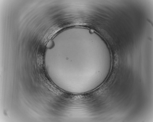 X0000103951169200810031339